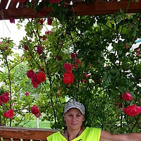 Портрет фотографа (аватар) Eлена Вздорова (Elena Vzdorova)