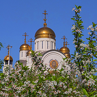 Фотография Сергей Портрет фотографа (аватар) Сергей