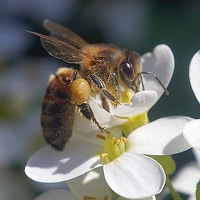 Портрет фотографа (аватар) Андрей Крупский (Andrey Krupskiy)