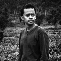 Портрет фотографа (аватар)  Dicky Bisinglasi (Dicky PH. Bisinglasi)