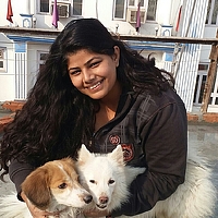 Портрет фотографа (аватар) Pooja kapoor