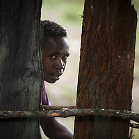 Портрет фотографа (аватар) John Rambet