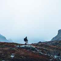 Портрет фотографа (аватар) Andrey Snegirev