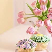 Портрет фотографа (аватар) семен