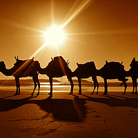 Портрет фотографа (аватар) Mohammed Srai