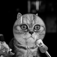 Портрет фотографа (аватар) Александр Холодов