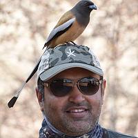 Портрет фотографа (аватар) Nilesh Shah