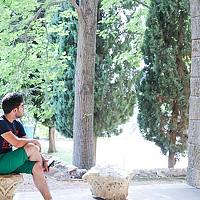 Портрет фотографа (аватар) AMJED ALANBARI (AMJ)