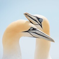 Портрет фотографа (аватар) zzz