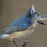 Фотография Martin Портрет фотографа (аватар) Martin