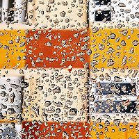 Портрет фотографа (аватар) meenakshi