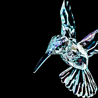 Портрет фотографа (аватар) Adrian Jebara