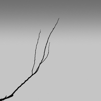 Портрет фотографа (аватар) nnnmmmm (mnnnnnnnnnnnnnn)