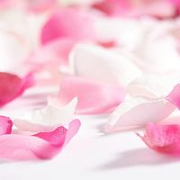 Фотография Жанна (Janna) Портрет фотографа (аватар) Жанна (Janna)