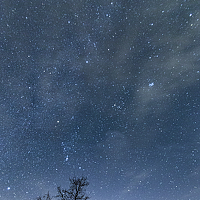 Портрет фотографа (аватар) Роман