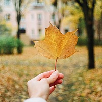 Портрет фотографа (аватар) Елизавета Воробьёва (Elizaveta Vorobyova)