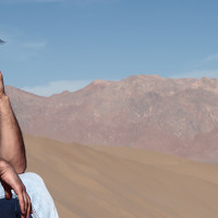 Портрет фотографа (аватар) Seyyed Hadi Mousavi