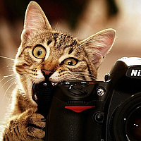 Портрет фотографа (аватар) Семён