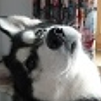 Портрет фотографа (аватар) jimmy