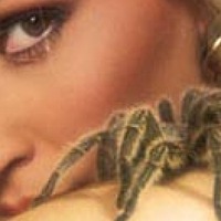 Портрет фотографа (аватар) Удалилась