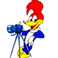 Портрет фотографа (аватар) Riusfer Urz