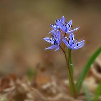 Портрет фотографа (аватар) Gavrila Marius