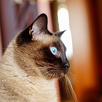 Портрет фотографа (аватар) Смирнов Виталий (Vitaliy Smirnov)