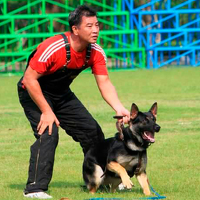 Портрет фотографа (аватар) teerapol dilokvanichkul