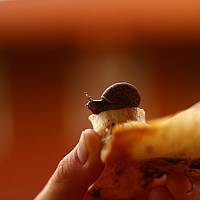 Портрет фотографа (аватар) Грицаева Юлия