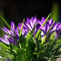 Портрет фотографа (аватар) Бандур Виталия