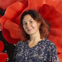 Фотография Ксения Далишнева (Kseniya Dalishneva) Портрет фотографа (аватар) Ксения Далишнева (Kseniya Dalishneva)