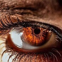 Портрет фотографа (аватар) Motor Scan