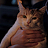Nastya Kiprina
