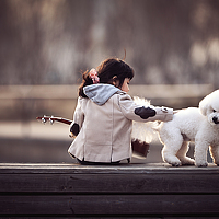 Портрет фотографа (аватар) 王猛