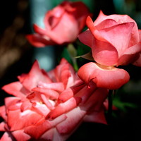 Портрет фотографа (аватар) Aleksandr