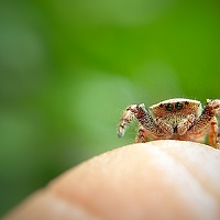 Портрет фотографа (аватар) Sourav Das