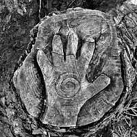 Портрет фотографа (аватар) Andrea Onozo