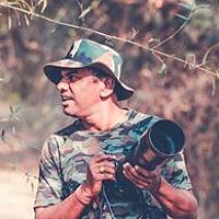 Портрет фотографа (аватар) Srinivas Kotagauni (Kotagauni Srinivas)