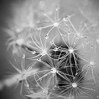 Портрет фотографа (аватар) Branko Utvic