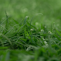 Фотография Роман Павлов (Roman Pavlov) Портрет фотографа (аватар) Роман Павлов (Roman Pavlov)