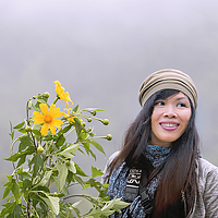 Портрет фотографа (аватар) Hong Mai Duong (Duong Hong Mai)