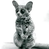 Портрет фотографа (аватар) Дмитрий Зотов (Dmitry Zotov)