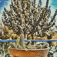 Портрет фотографа (аватар) Mirzaakhmedov Bakhtiyor