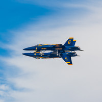 Портрет фотографа (аватар) Ali Dhanji