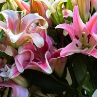 Фотография Айдын Мехтиев (Aydin Mehdiyev) Портрет фотографа (аватар) Айдын Мехтиев (Aydin Mehdiyev)