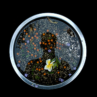 Портрет фотографа (аватар) Mohammad Saqif Hossain