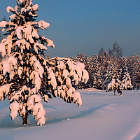 Николай М - фотограф