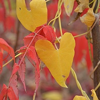 Портрет фотографа (аватар) Юлия Яшина (Yuliya Yashina)