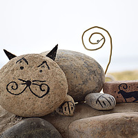 Портрет фотографа (аватар) Myrzabek