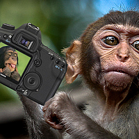 Портрет фотографа (аватар) Anatoly (Maniuto)